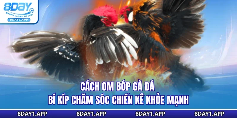 Cách om bóp gà đá