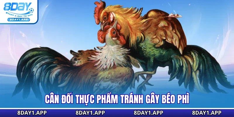 Cân đối thực phẩm tránh gây béo phì