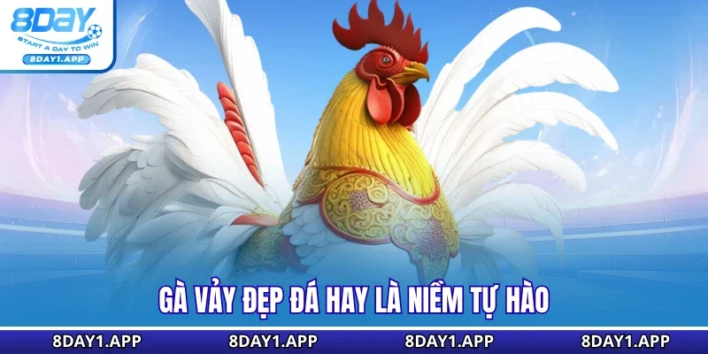 Gà vảy đẹp đá hay là niềm tự hào 