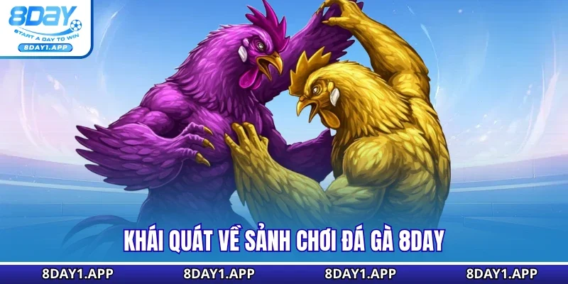 Khái quát về sảnh chơi đá gà 8DAY