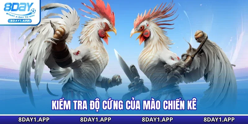 Kiểm tra độ cứng của mào chiến kê