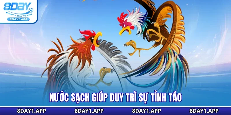 Nước sạch giúp duy trì sự tỉnh táo