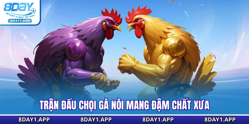 Trận đấu chọi gà nòi mang đậm chất xưa